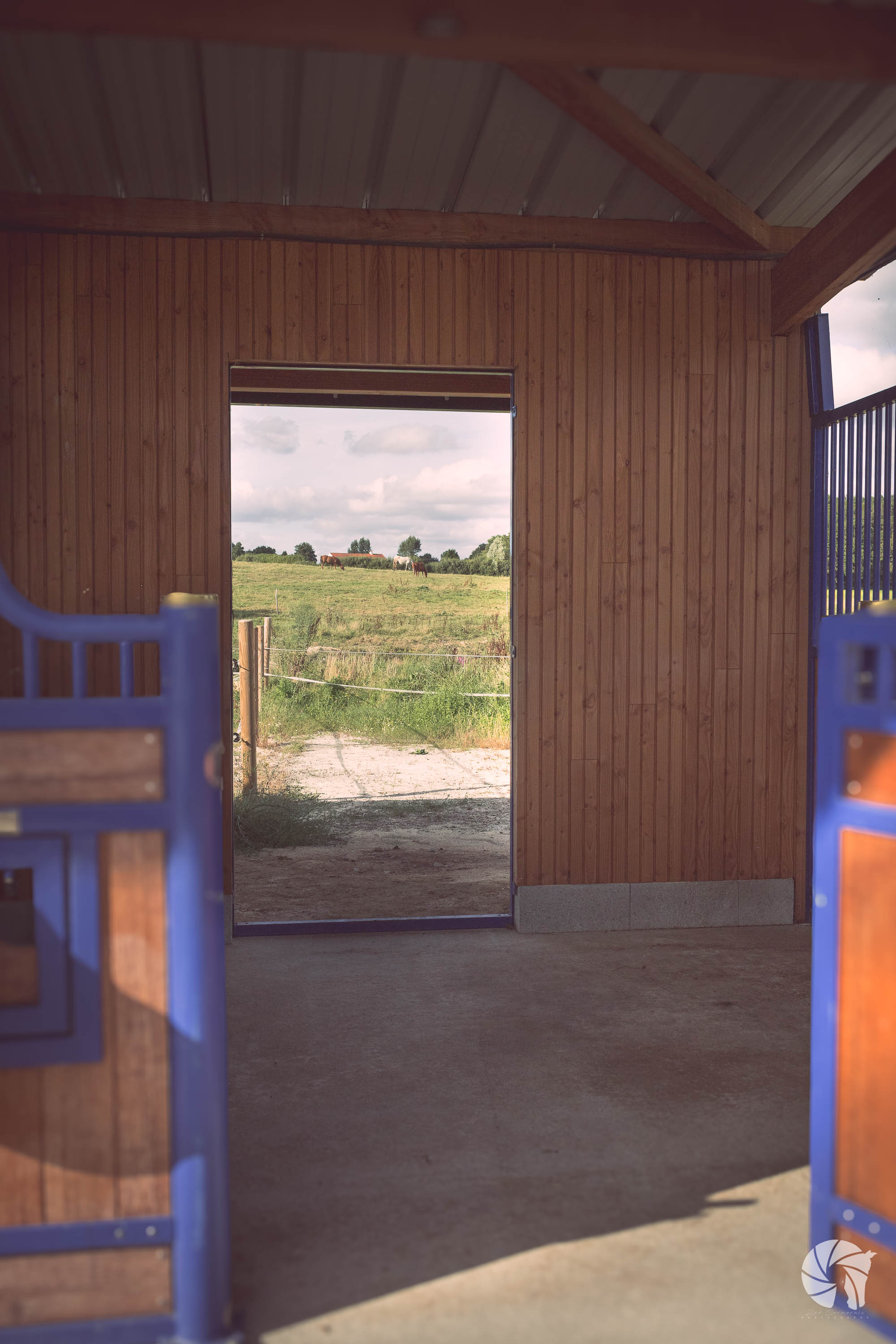 Boxs pour chevaux donnant sur un paddock stabilisé et sur les prés. Ecurie de propriétaires à Brains