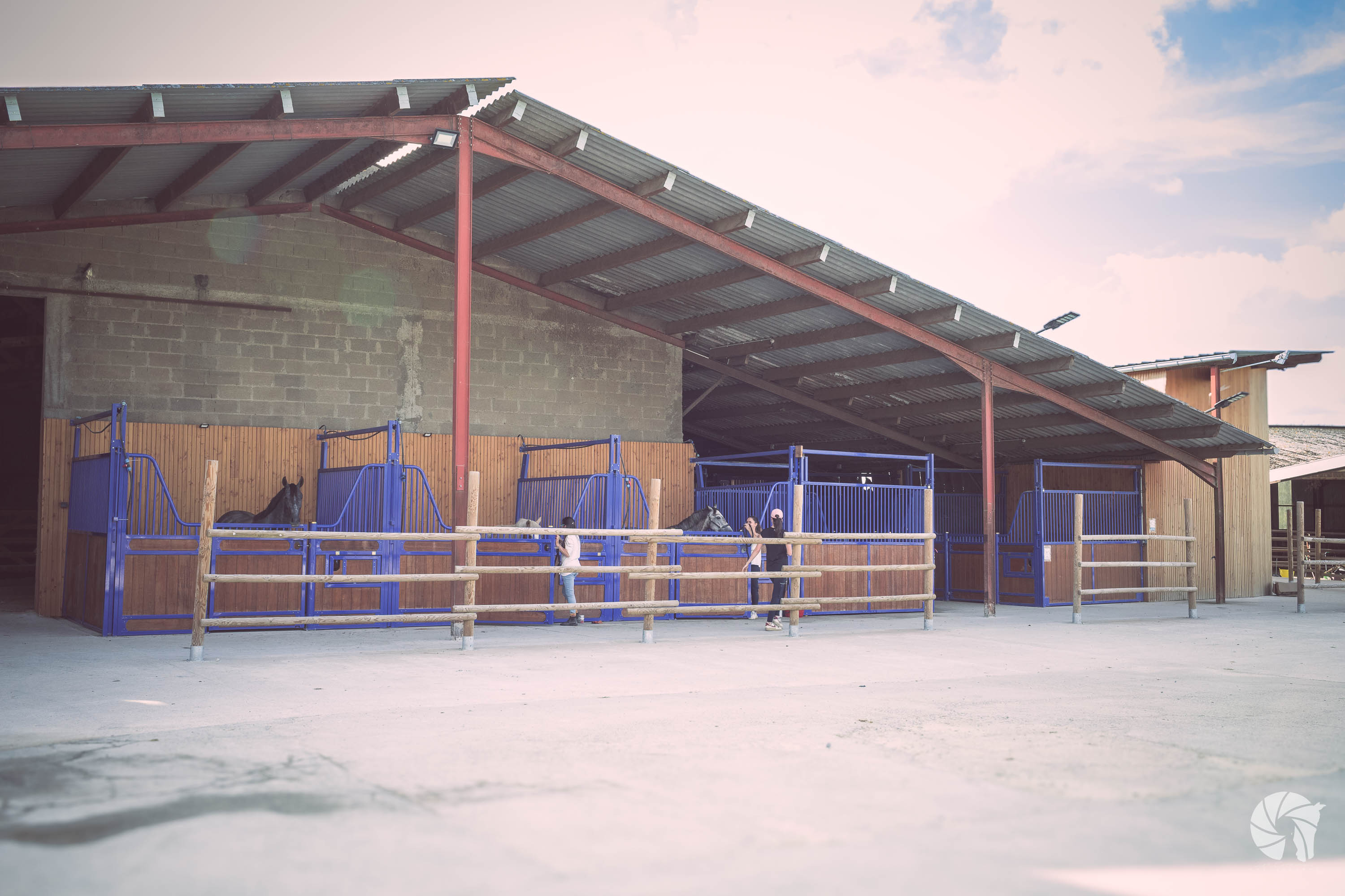 Vue d'ensemble des boxs pour chevaux au Haras d'Athéna, écurie de propriétaires située à Brains.